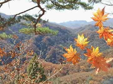 思迪鋒范，引領(lǐng)新時(shí)代的獨(dú)特魅力與卓越價(jià)值